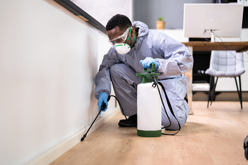Pest control Services in Nairobi company