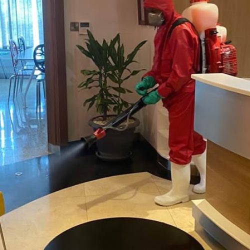 Pest control Services in Nairobi Neptune Pest Control