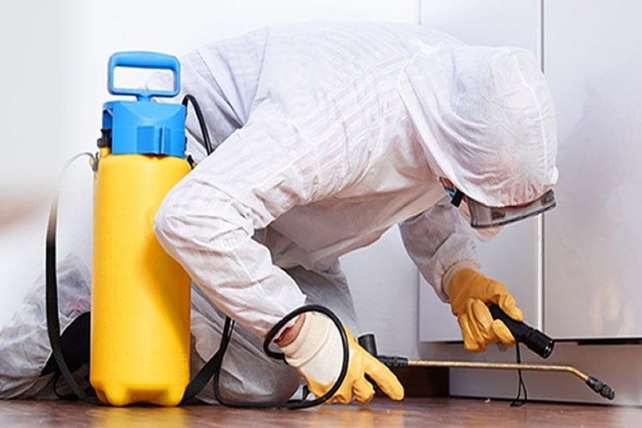 Pest control Services in Nairobi Neptune Pest Control